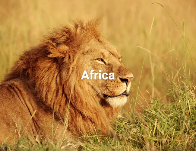 Africa