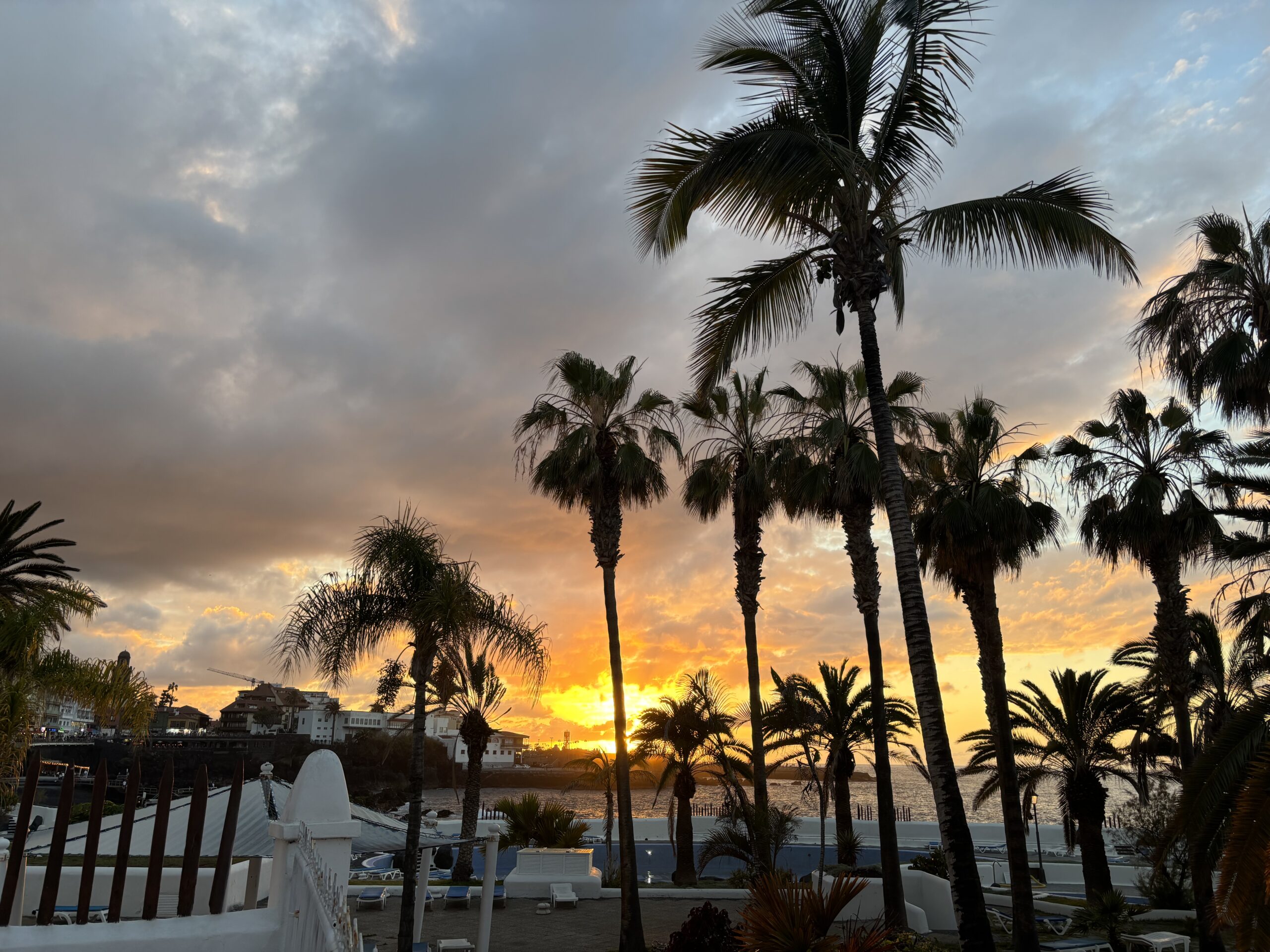Blog - Cruise (7)
