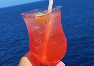 Cruise Blog (1)