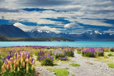 Adventure-Travel-Thorne-Travel-Choose-Adventure-with-Thorne-Travel-Content-Images-New-Zealand.webp