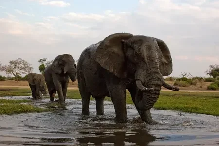 Botswana (3)