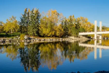Calgary (8)