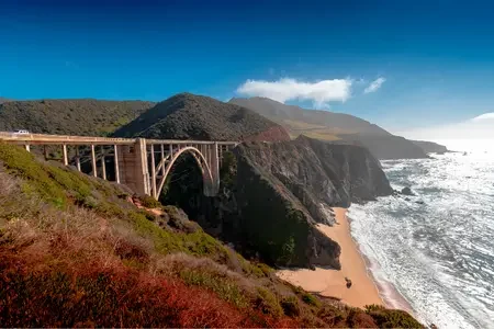 California (1)