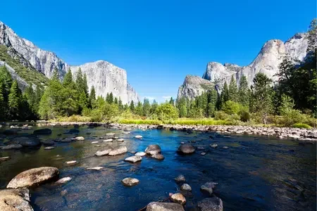 California (2)