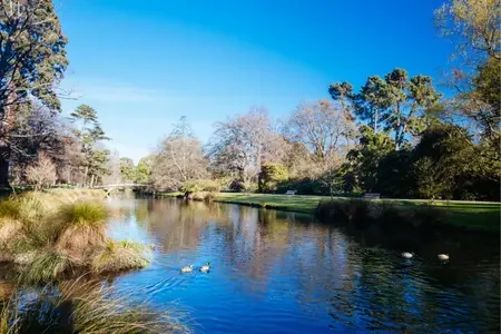 Christchurch (5)