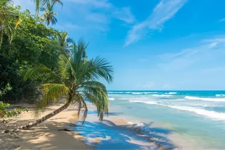 Costa rica (9)