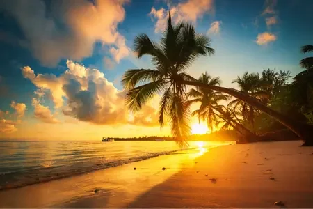 Dominican Republic (4)