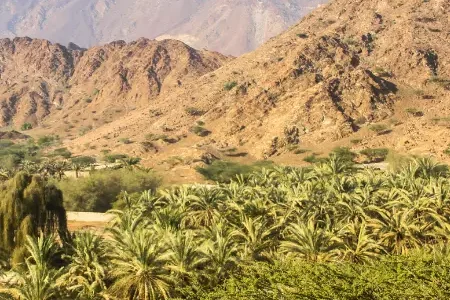 Fujairah (2)