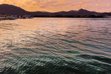 Fujairah (4)