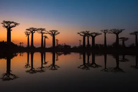Madagascar (2)