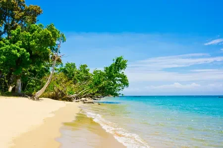 Madagascar (5)