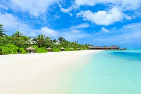 Maldives (1)