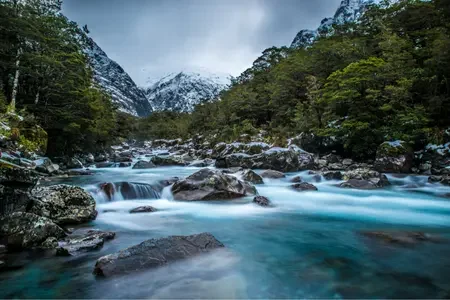 New Zealand (6)