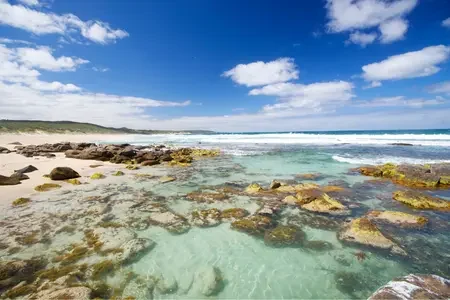 Perth (8)