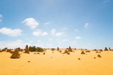 Perth (9)