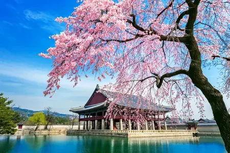 Seoul (4)_80945170