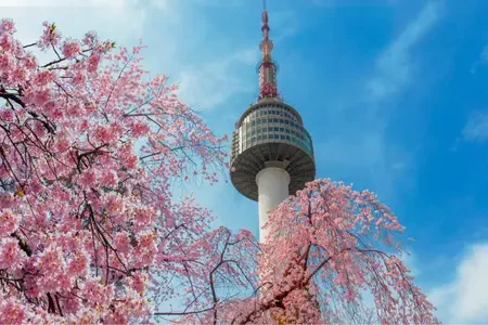 Seoul (5)_80945170