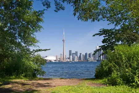 Toronto (4)